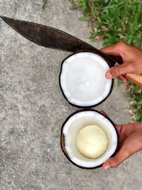 High angle view of hand holding coconut 