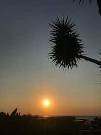 Silhouette palm tree against sky during sunset