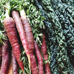 Close-up of various vegetables