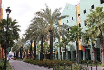 Road amidst trees and buildings against sky in city