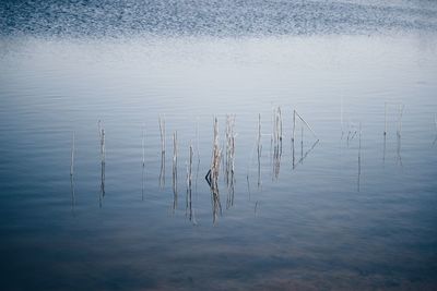 Scenic view of lake