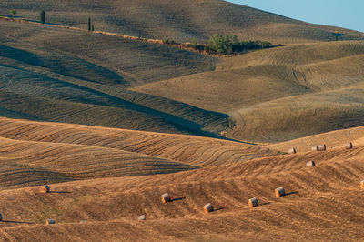 Wavy hills in tuscan farmland