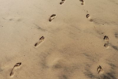 High angle view of footprints on sand