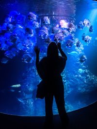 View of fishes swimming in aquarium