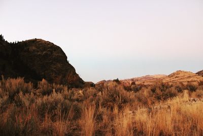 Scenic view of mountains against clear sky