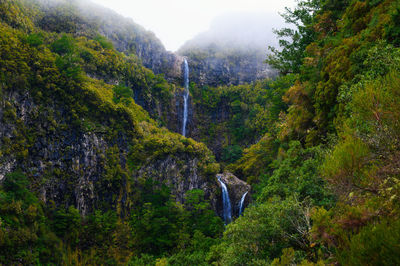 Scenic view of mountains