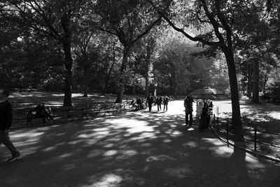 People on road amidst trees