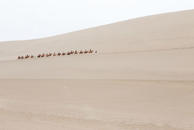 People in desert against clear sky