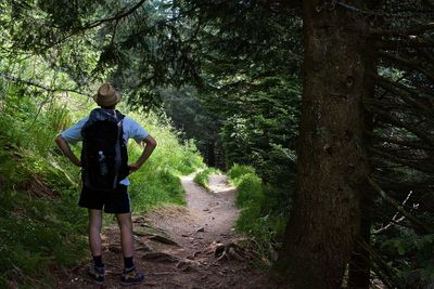 Rear view of man standing by tree in forest
