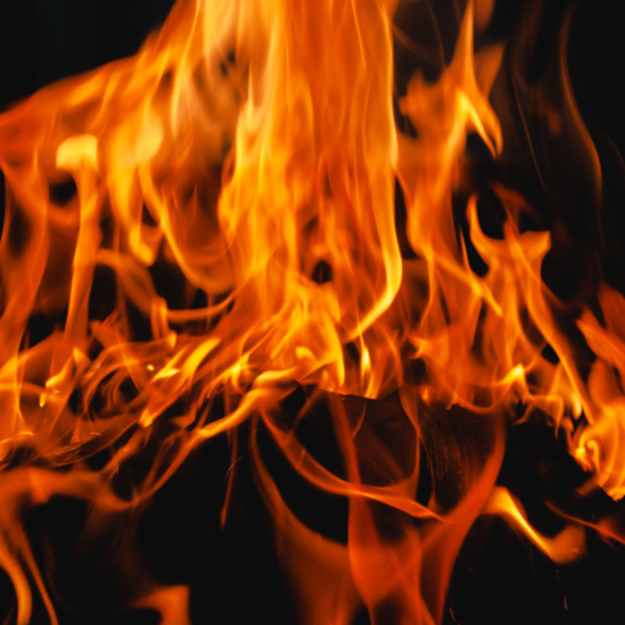 CLOSE-UP OF FIRE BURNING AGAINST BLACK BACKGROUND