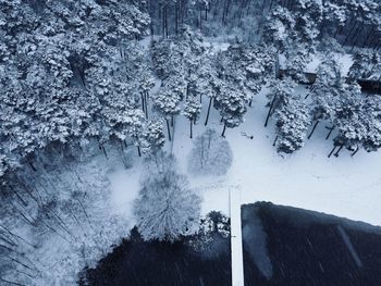 Aerial view of snow covered trees in forest by lake