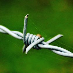 Close-up of barbed wire on fence