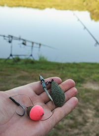 Carp fishing rig