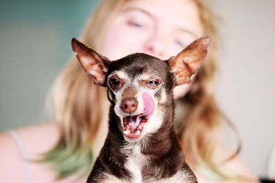 Low angle close-up young woman with chihuahua at home