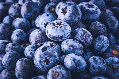 Full frame shot of blueberries