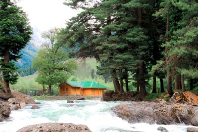 Scenic view of waterfall in forest