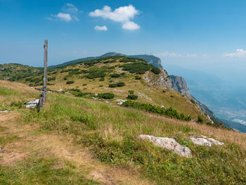 Summer meadow close to peak of gazza mountain. amazing wild nature. vezzano region, trentino, italy