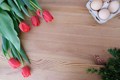 High angle view of tulips on table