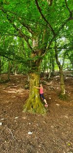 Rear view of woman in forest