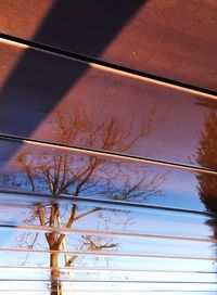 Low angle view of bare tree against sky