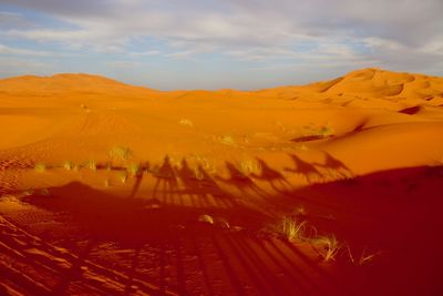 Scenic view of arid landscape against sky with shadows of camels