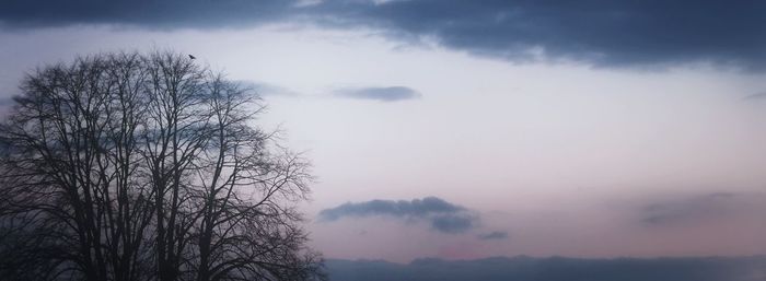 Low angle view of bare trees against cloudy sky