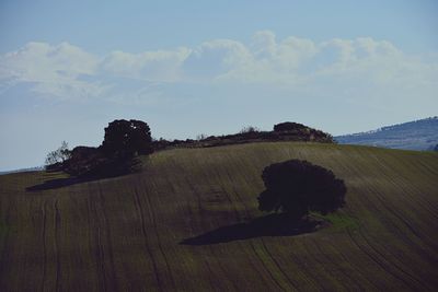 Silhouette man by tree against sky