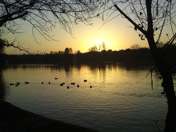 Silhouette swans swimming in lake against sky during sunset