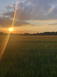 Scenic view of field against sky during sunset