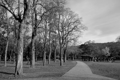 Bare trees in park against sky