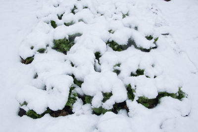 Full frame shot of snow covered field