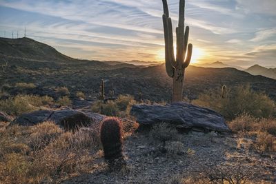 Scenic view of landscape against sky during sunset