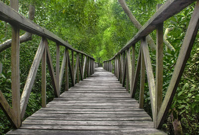 Wooden footbridge amidst trees in forest