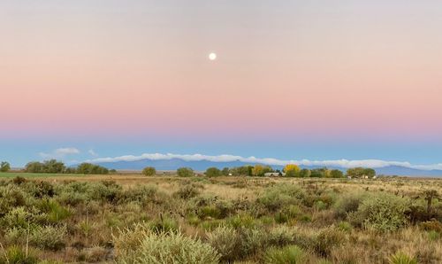 Scenic view of field against sky during sunset