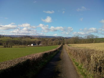 Road amidst agricultural field against sky