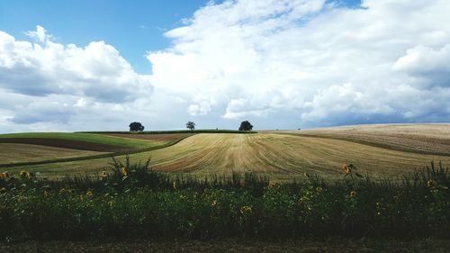 Scenic view of farm against cloudy sky