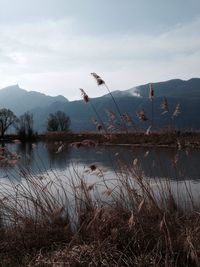 Scenic view of lake and mountains against sky