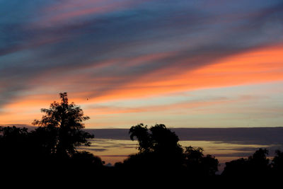 Silhouette trees against dramatic sky during sunset