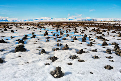 Scenic view of landscape against blue sky