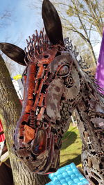 Close-up of a tree trunk