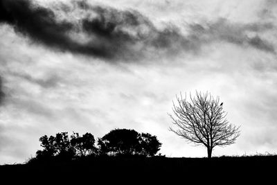 Low angle view of silhouette tree against sky