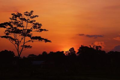 Silhouette trees on field against romantic sky at sunset