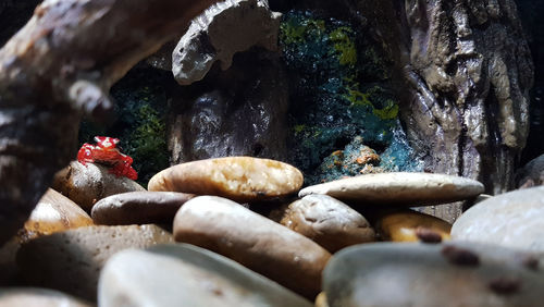 Close-up of stones on rock in water