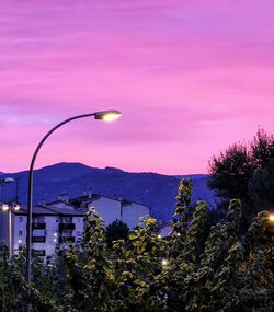 Illuminated street light and trees against sky at dusk