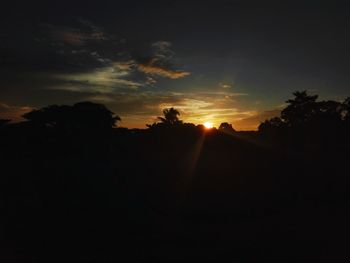 Silhouette of trees at sunset