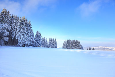 Snow covered land and trees against blue sky