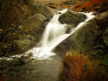 Scenic view of waterfall in forest