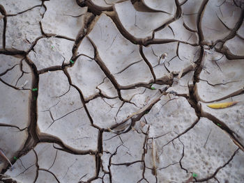 Full frame shot of cracked land