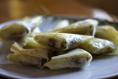 Close-up of food served in plate