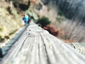 Close-up of wooden plank